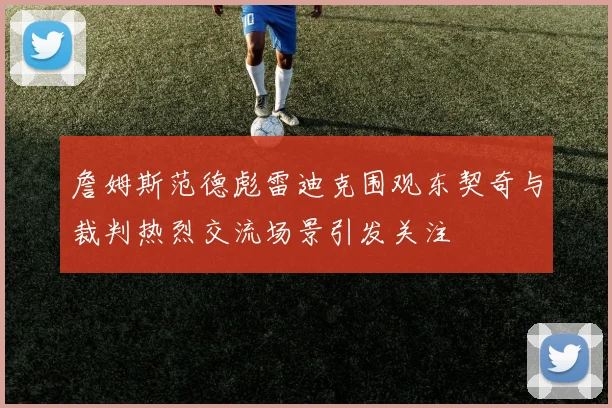 詹姆斯范德彪雷迪克围观东契奇与裁判热烈交流场景引发关注